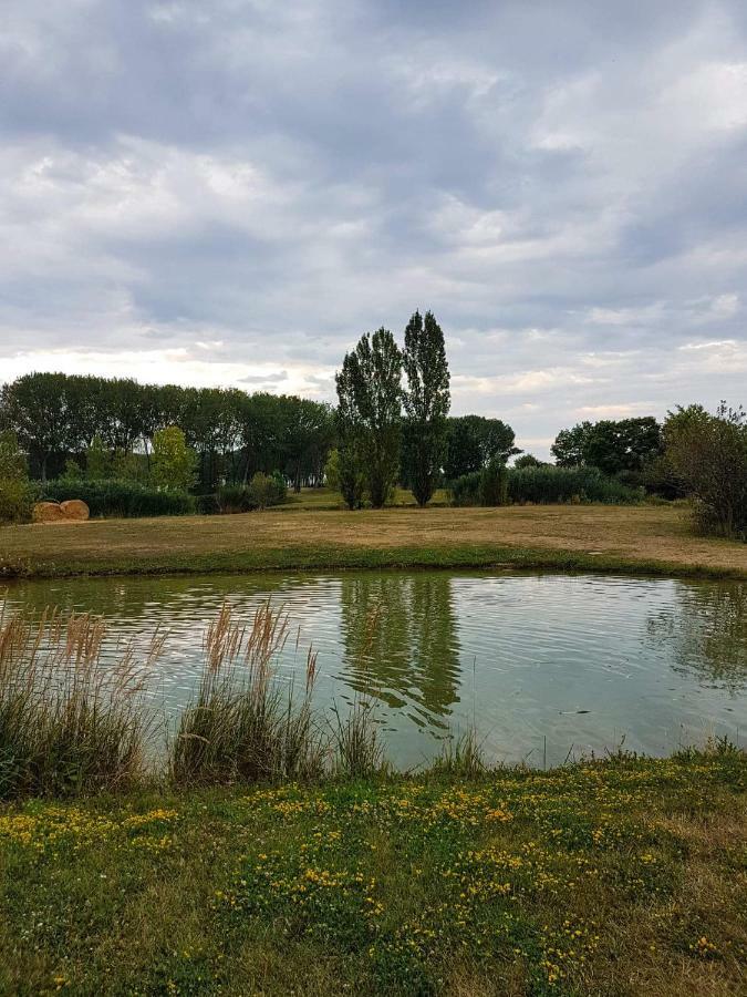Eliza 1 Birdland Golf Apartman Bük Esterno foto